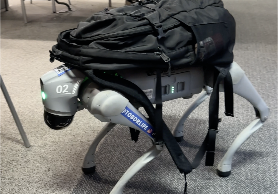 humanoid robots